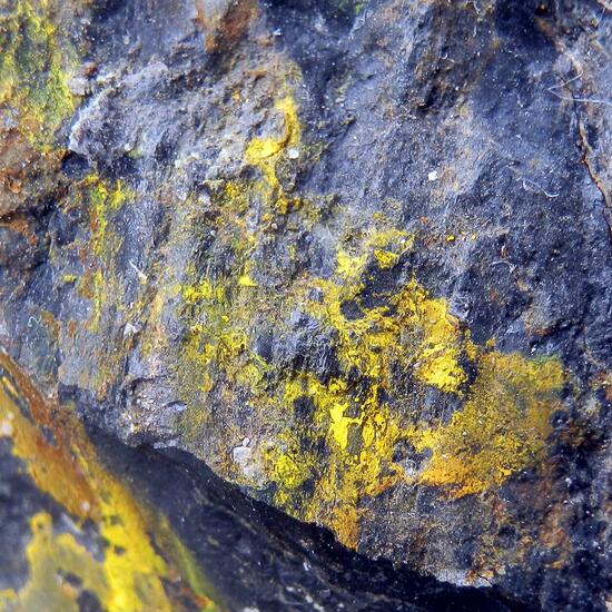Greenockite