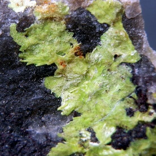 Uranocircite
