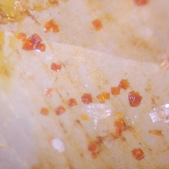 Bariopharmacosiderite