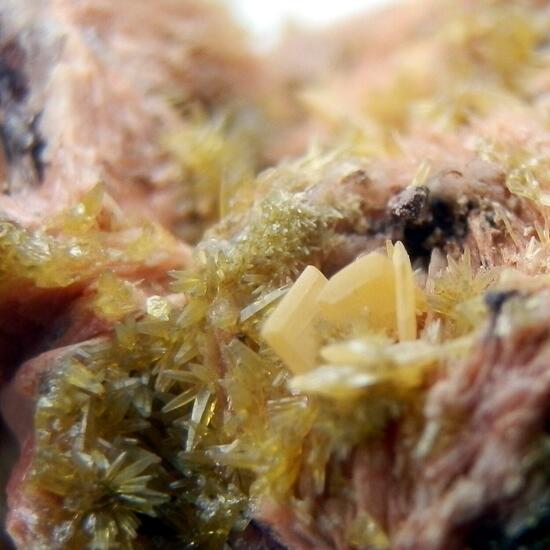 Mimetite & Wulfenite