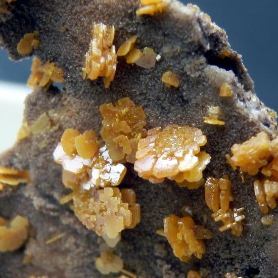 Wulfenite