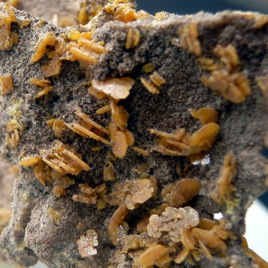 Wulfenite