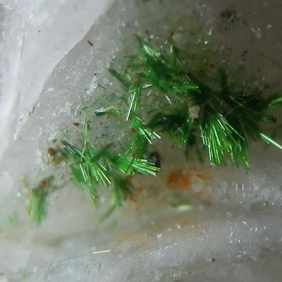 Agardite