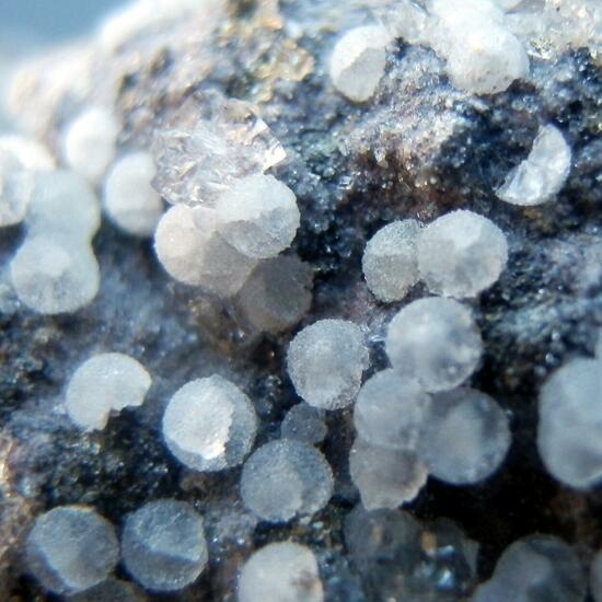 Phillipsite & Chabazite & Offretite