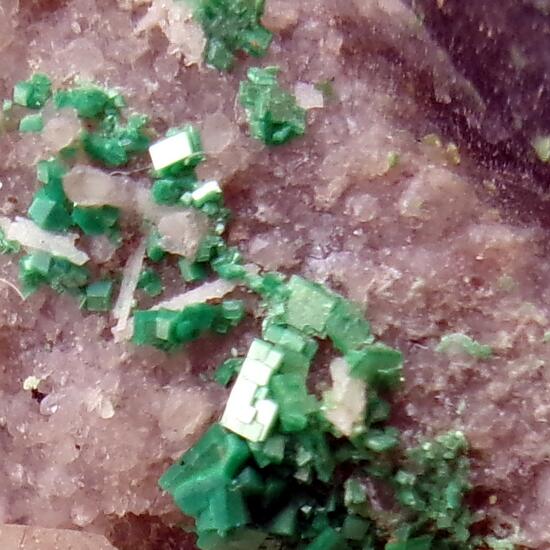 Torbernite & Autunite