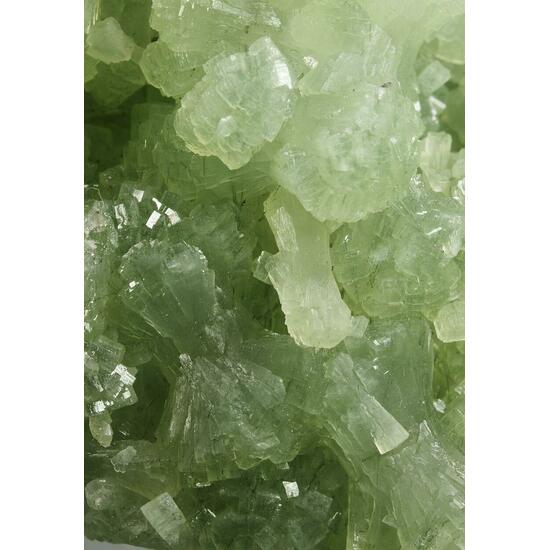 Prehnite & Actinolite