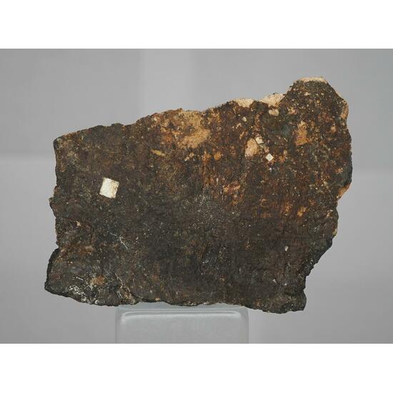 Thorogummite Psm Uraninite