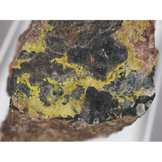 Liebigite & Uraninite