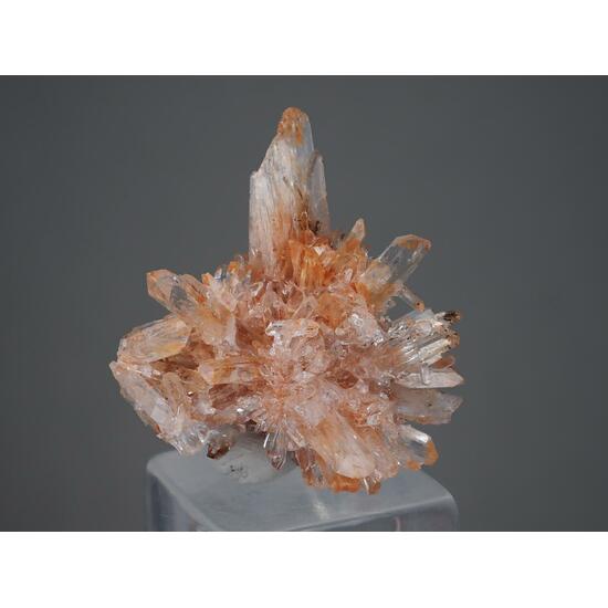 Creedite