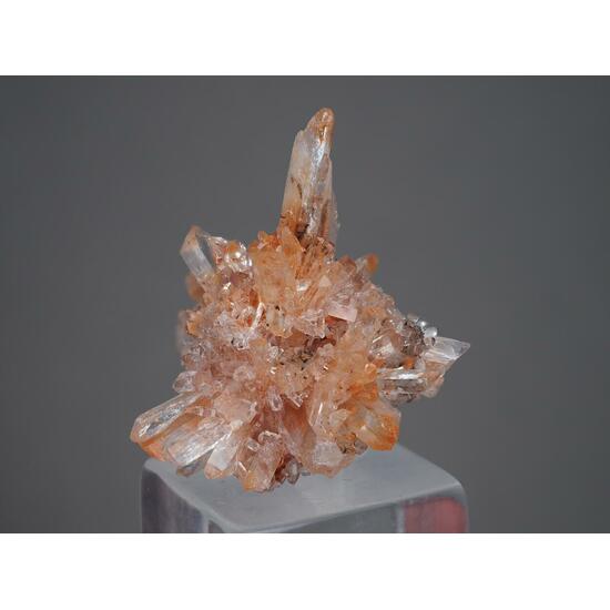 Creedite