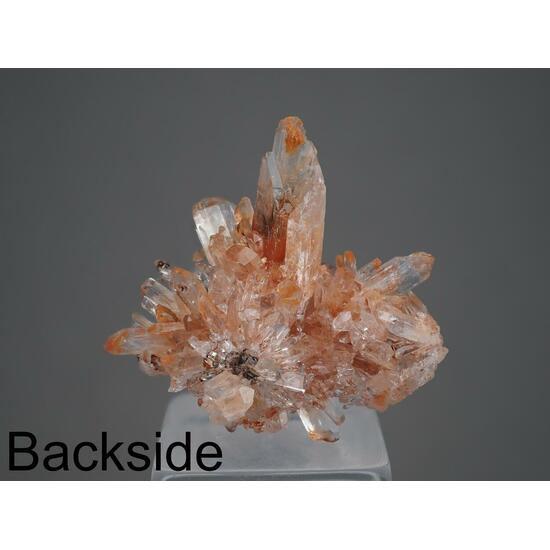 Creedite