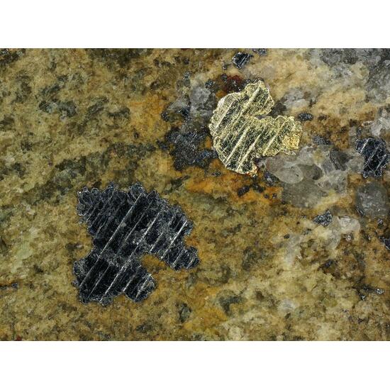 Uytenbogaardtite & Gold