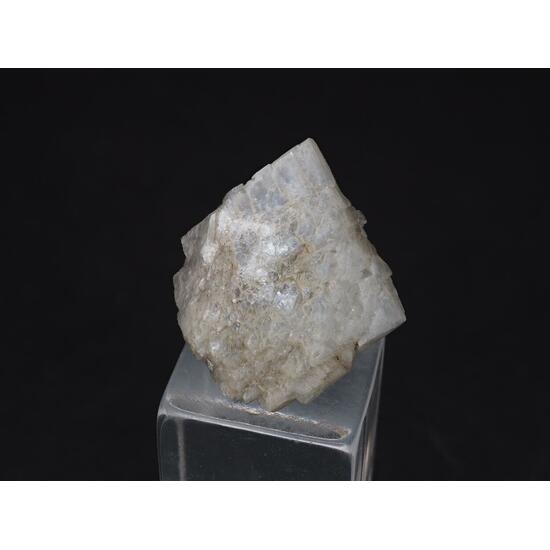 Tunellite