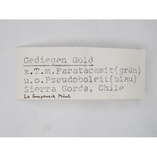 Gold With Paratacamite & Pseudoboleite