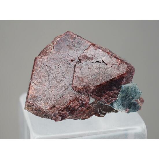 Eudialyte