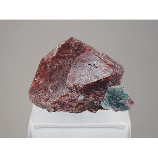 Eudialyte