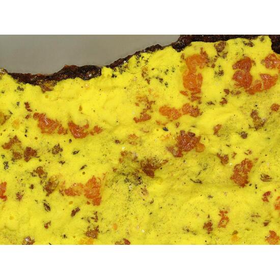 Curienite & Francevillite