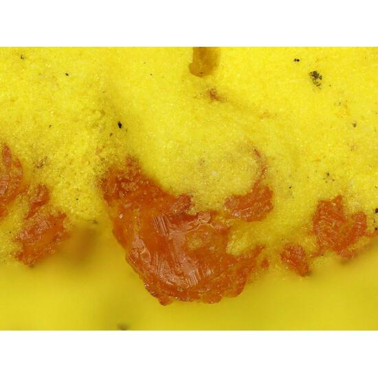 Curienite & Francevillite