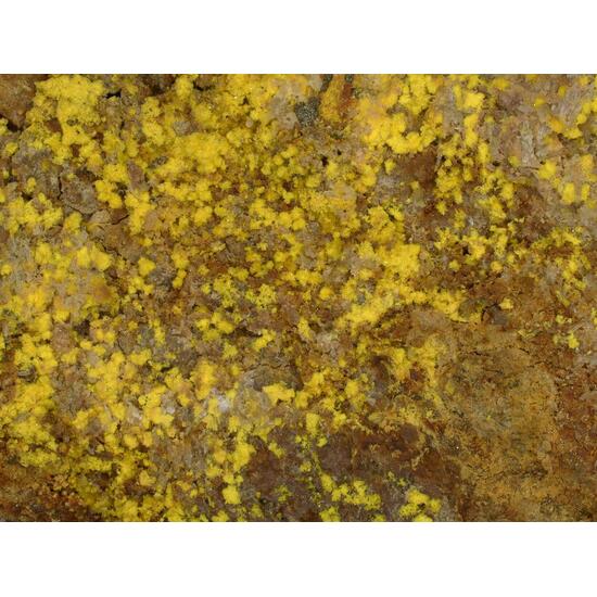 Marécottite & Natrozippeite