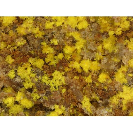 Marécottite & Natrozippeite