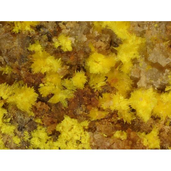 Marécottite & Natrozippeite