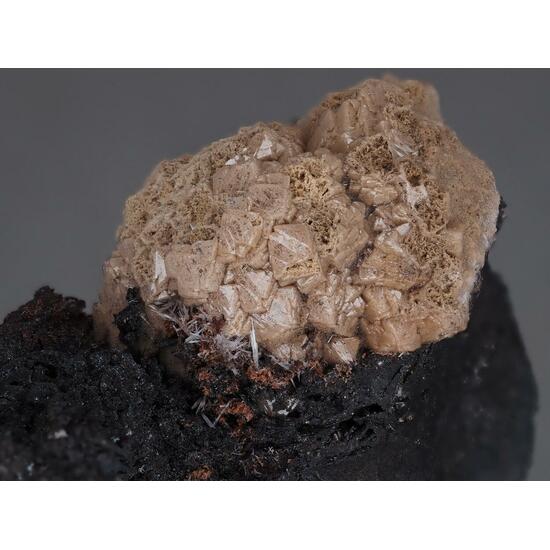 Olmiite & Bultfonteinite
