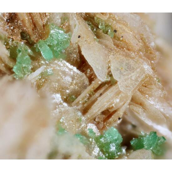 Adamite