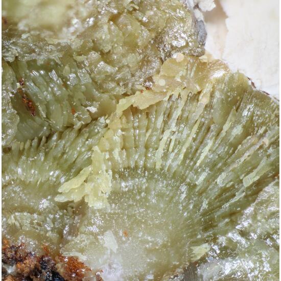 Calcioferrite & Tinticite