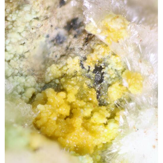 Leesite & Cuprosklodowskite