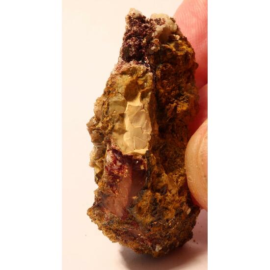 Delvauxite Tinticite & Calcioferrite