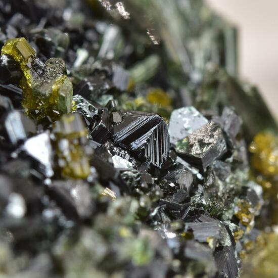 Magnetite With Clinochlore Diopside & Vesuvianite