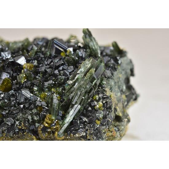 Magnetite With Clinochlore Diopside & Vesuvianite