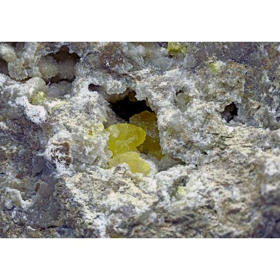 Native Sulphur