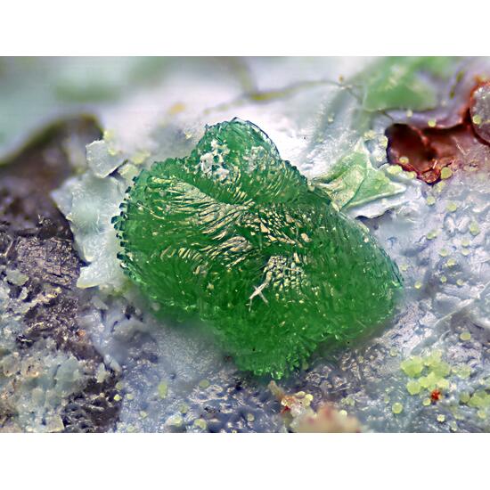 Goldhillite & Zincolivenite & Aurichalcite