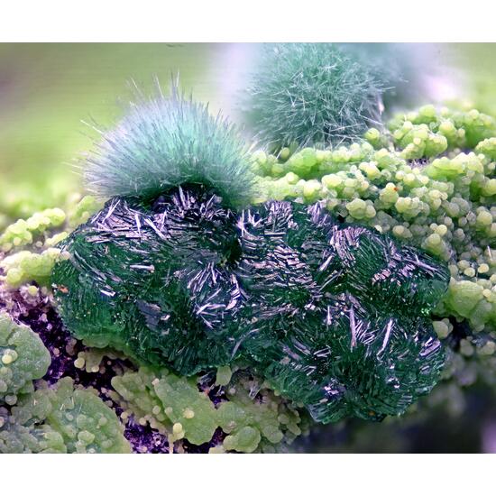 Goldhillite Zincolivenite & Aurichalcite