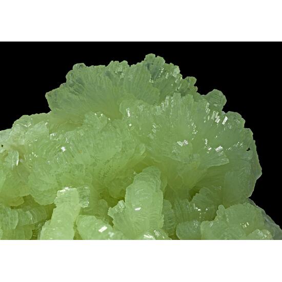 Prehnite