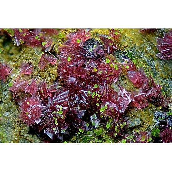 Erythrite & Conichalcite