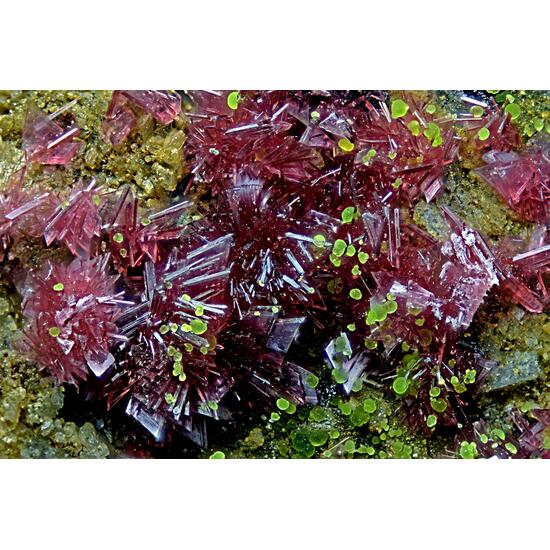 Erythrite & Conichalcite