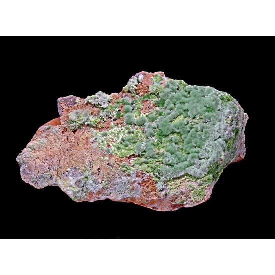 Goldhillite Zincolivenite & Aurichalcite