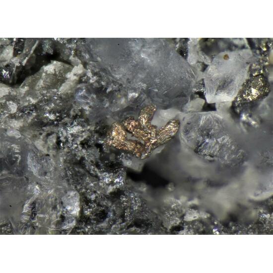 Tellurium Spiroffite & Silver