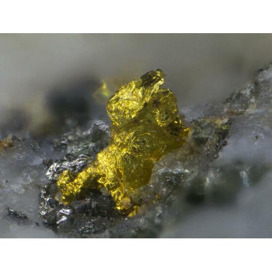 Gold & Tetradymite