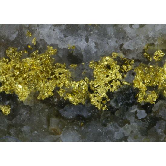 Gold & Cosalite