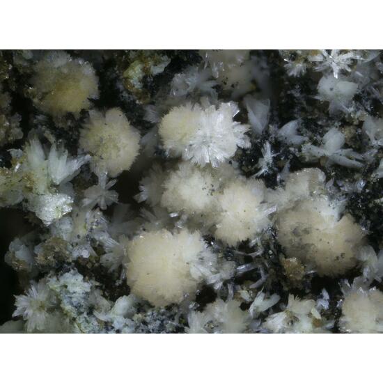 Kingsmountite Fairfieldite Jahnsite & Mitridatite