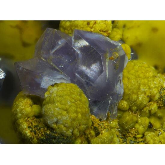 Strengite & Rockbridgeite