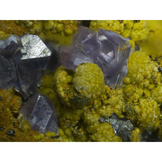 Strengite & Rockbridgeite