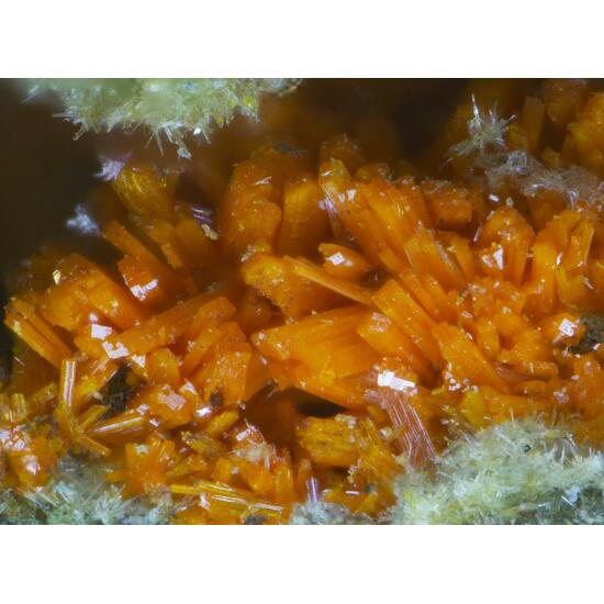 Wölsendorfite Rutherfordine Curite Uranophane