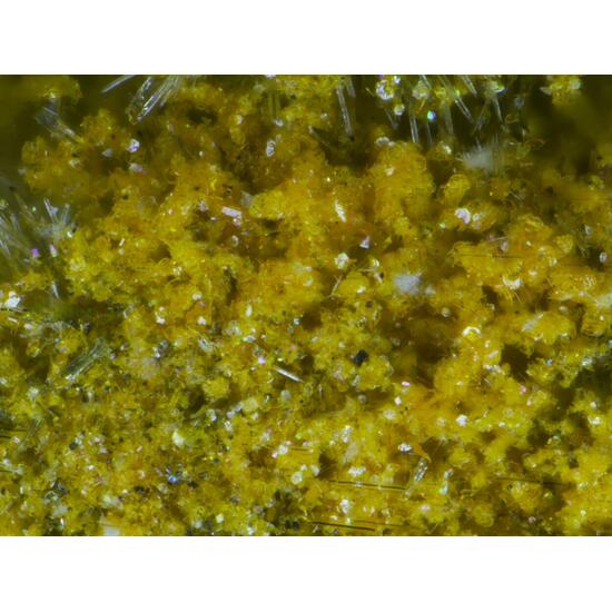 Wölsendorfite Rutherfordine Curite Uranophane