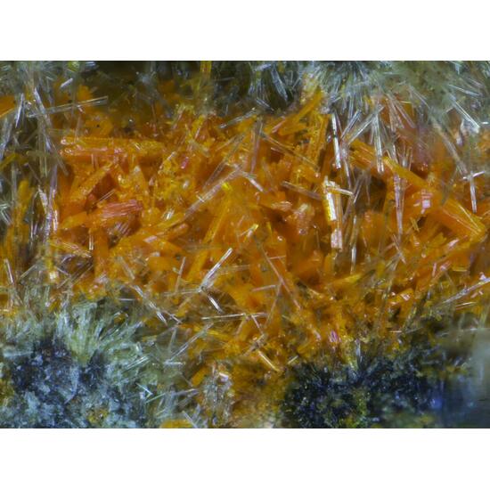 Wölsendorfite Rutherfordine Curite Uranophane