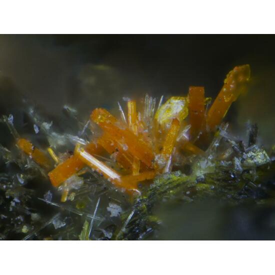 Wölsendorfite Rutherfordine Curite Uranophane