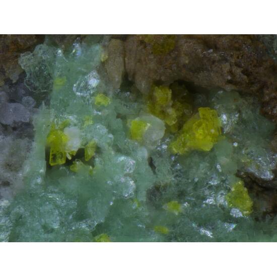 Renardite & Saléeite